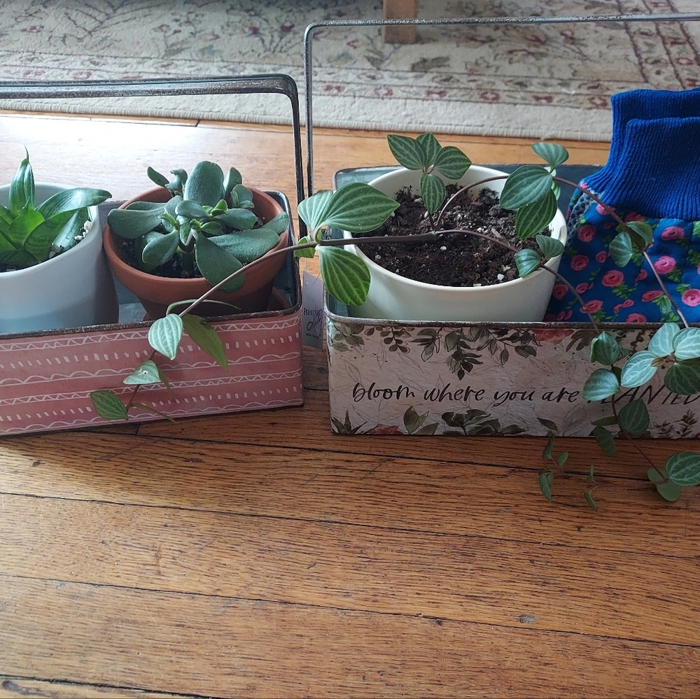 Rustic Plant boxes - *new* set of 2 - metal - Bloom Where You Are Planted - Picture 3 of 11